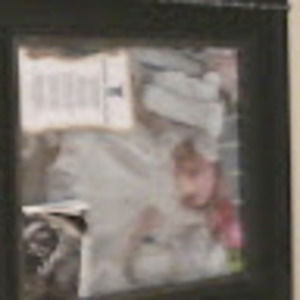 Meet your Posher, Dante